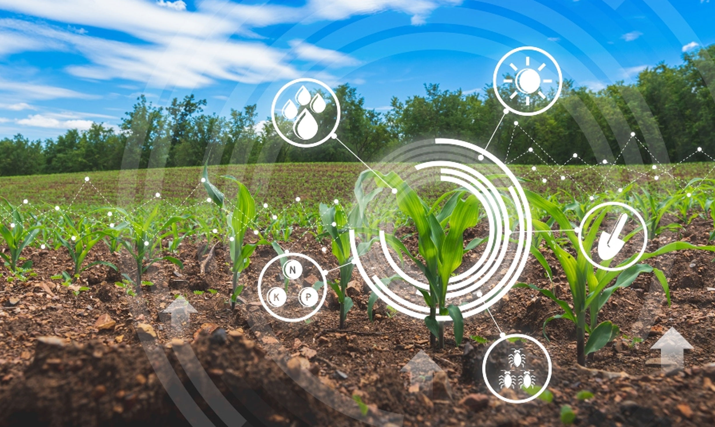 Pakistan uses technology to improve water efficiency in Agriculture.